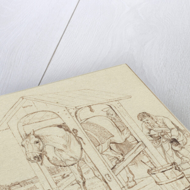 A horse by Johannes Vinkeles