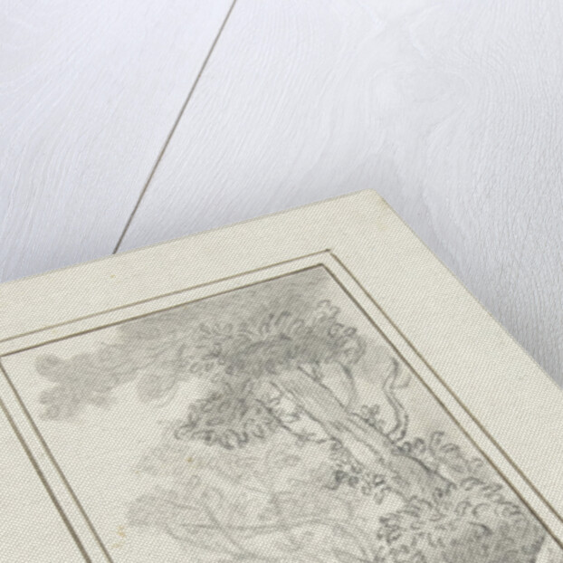 Design for a room decoration: a panel with birds by Abraham Meertens
