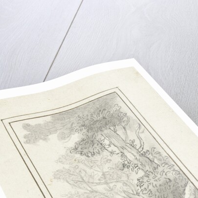 Design for a room decoration: a panel with birds by Abraham Meertens