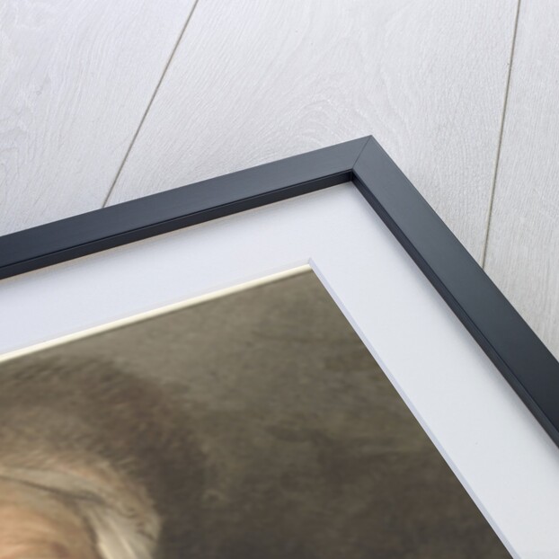 Old woman with child and fire test by Peter Paul Rubens