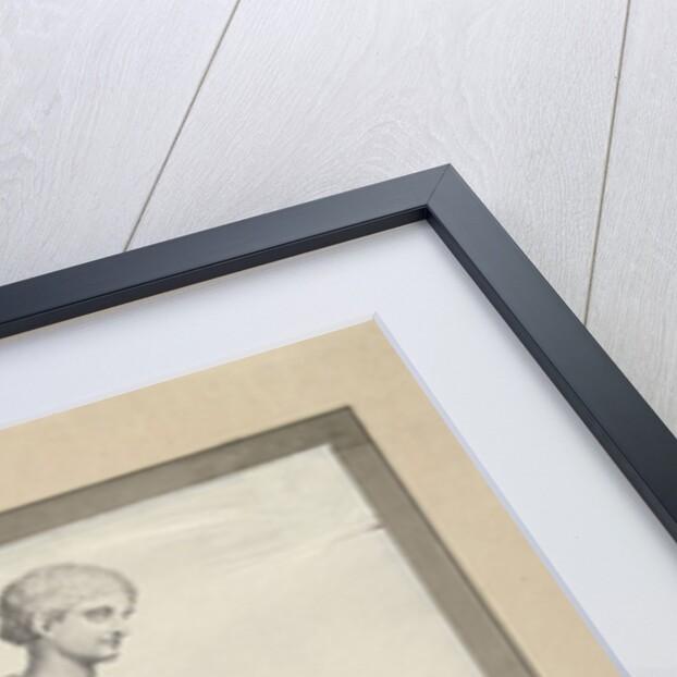 Venus Genetrix by Anonymous