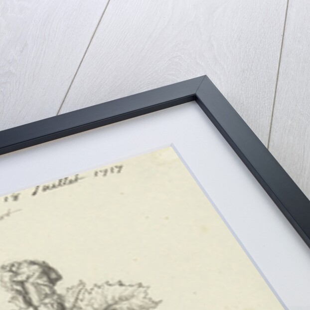 Study Sheet with a rose by Bernard Picart