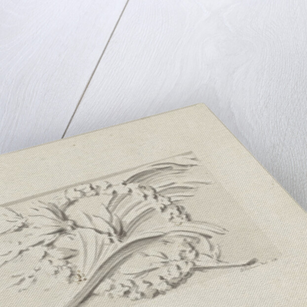 Design for two decorations in rectangular recessed surfaces by Bartholomeus Ziesenis