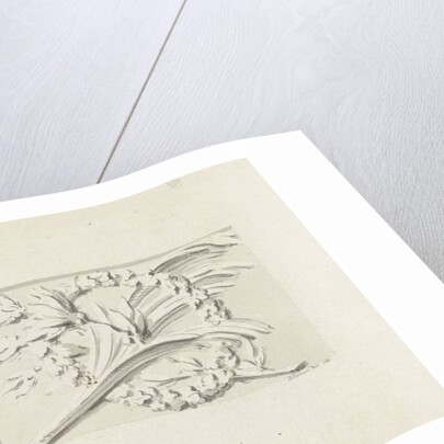 Design for two decorations in rectangular recessed surfaces by Bartholomeus Ziesenis
