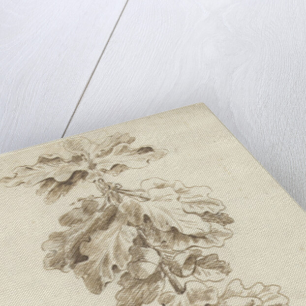 Festoon of oak leaves by Jacob Hagen II