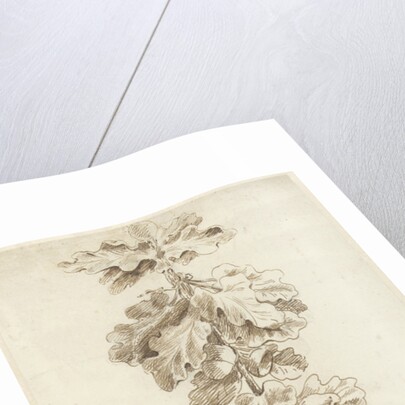 Festoon of oak leaves by Jacob Hagen II