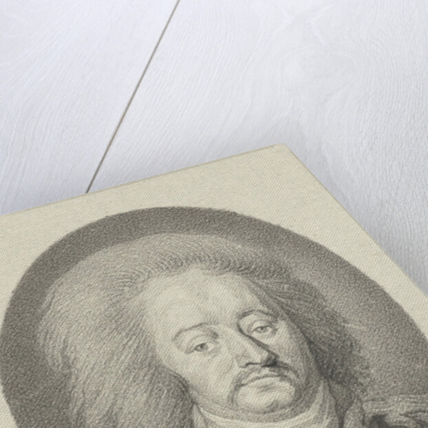 Portrait of the Rijngraaf van Salm by Johannes Cornelis Mertens
