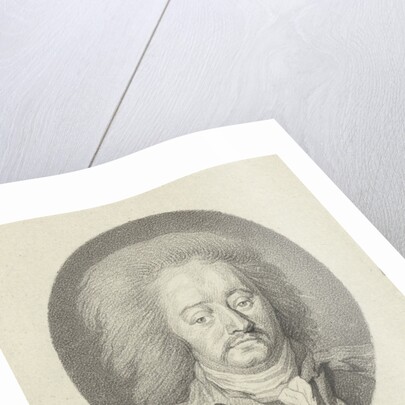 Portrait of the Rijngraaf van Salm by Johannes Cornelis Mertens