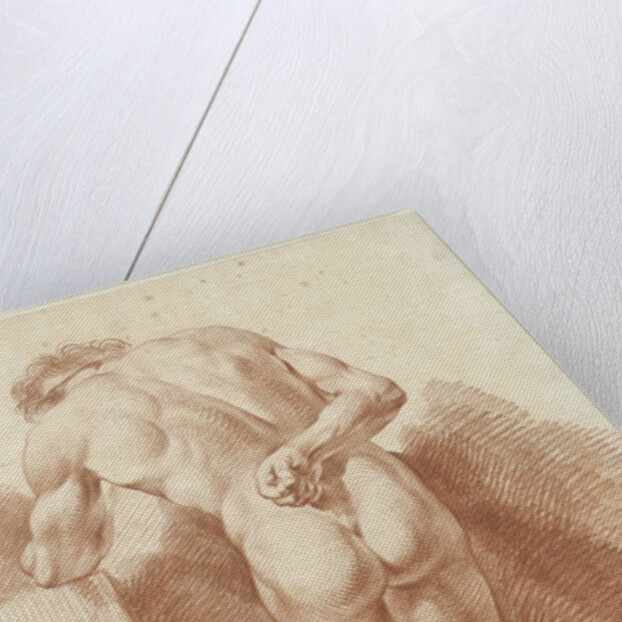 Standing male nude by Johannes Ziesenis