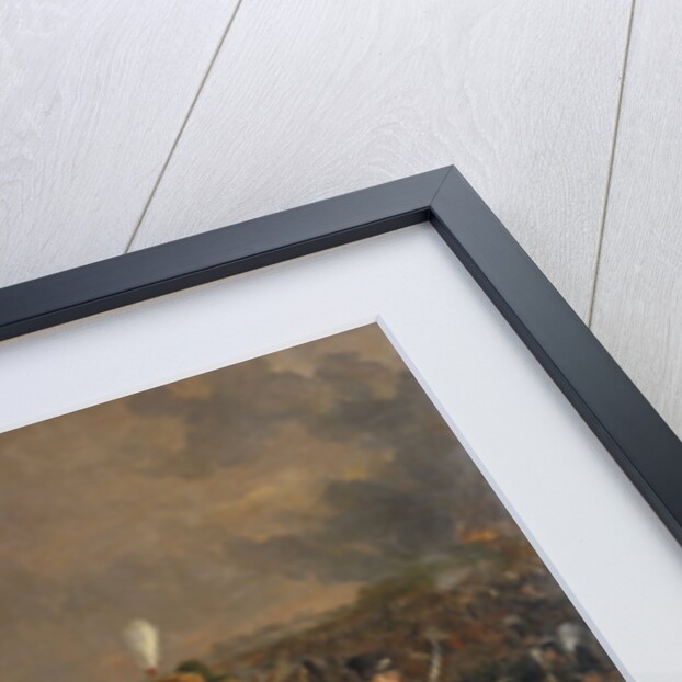 The Battle of Waterloo Belgium by Jan Willem Pieneman