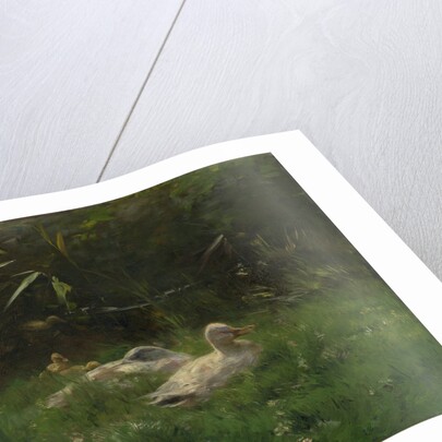 Ducks by Willem Maris