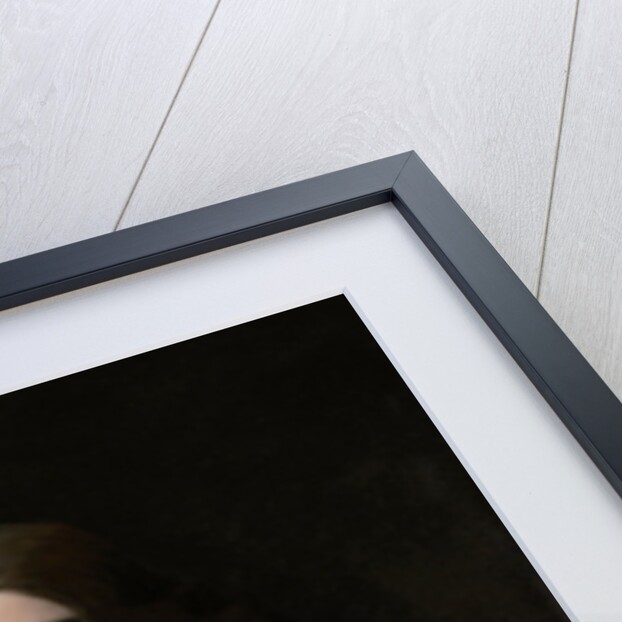 Portrait of Joseph Deutz by Michael Sweerts