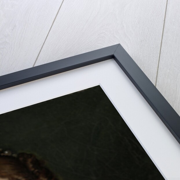 Portrait of Hortense de Beauharnais by Anne Louis Girodet-Trioson