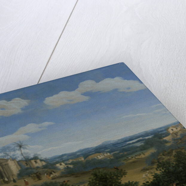 View of Olinda by Frans Jansz Post