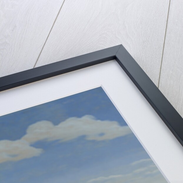 View of Olinda by Frans Jansz Post