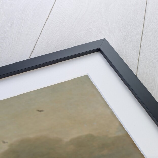 Four Cows in a Meadow by Paulus Potter