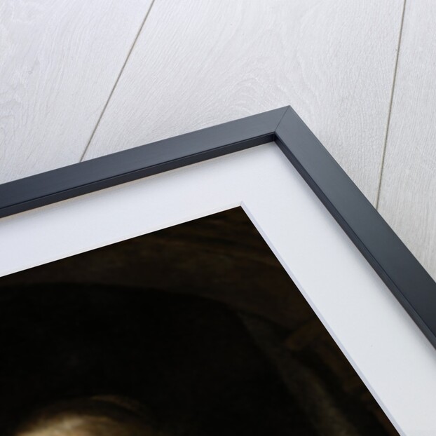 Portrait of a Woman by Rembrandt Harmensz. van Rijn