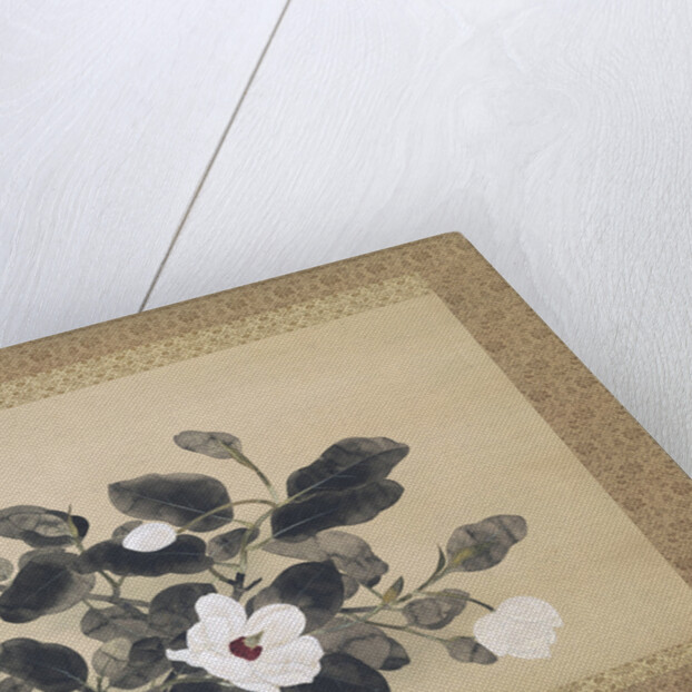 Scroll Painting with magnolia by Yamamura Kôka