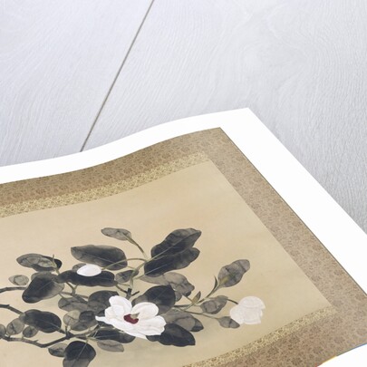 Scroll Painting with magnolia by Yamamura Kôka