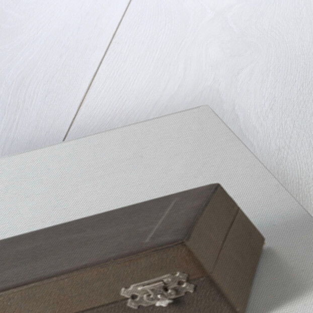 cassette belonging to a set comprising twelve cups and saucers, painted with birds and violins by C.W.J. 't Hart