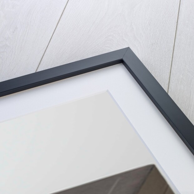 cassette belonging to a set comprising twelve cups and saucers, painted with birds and violins by C.W.J. 't Hart