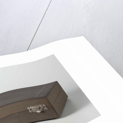 cassette belonging to a set comprising twelve cups and saucers, painted with birds and violins by C.W.J. 't Hart