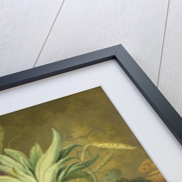 Still Life with Fruit by Jacobus Linthorst