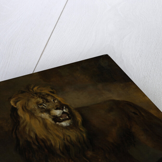 Lion, from the Menagerie of Napoleon III, Emperor of the French, 1808 by Pieter Gerardus van Os