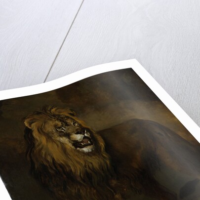 Lion, from the Menagerie of Napoleon III, Emperor of the French, 1808 by Pieter Gerardus van Os