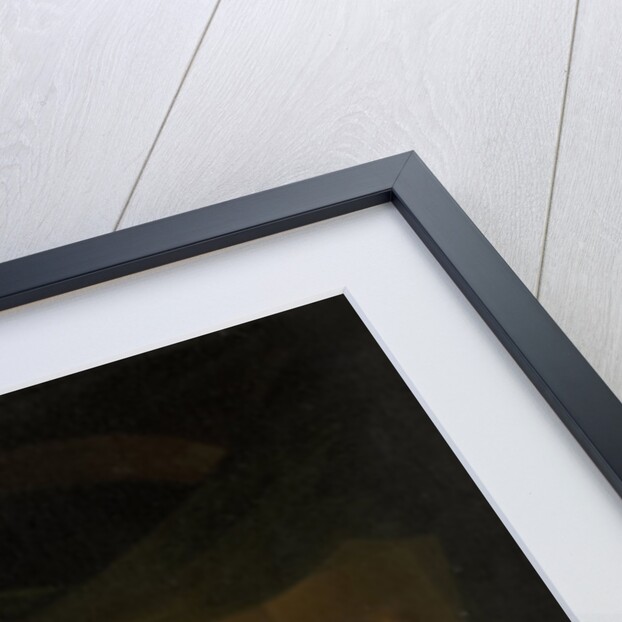 Kitchen by Lamplight by Adriaan Meulemans