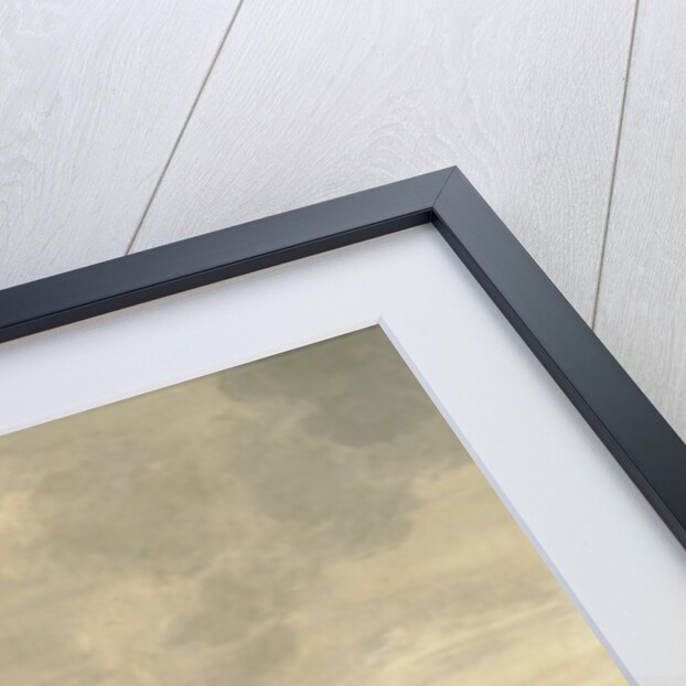 The Dutch Herring Fleet under Sail by Cornelis Beelt