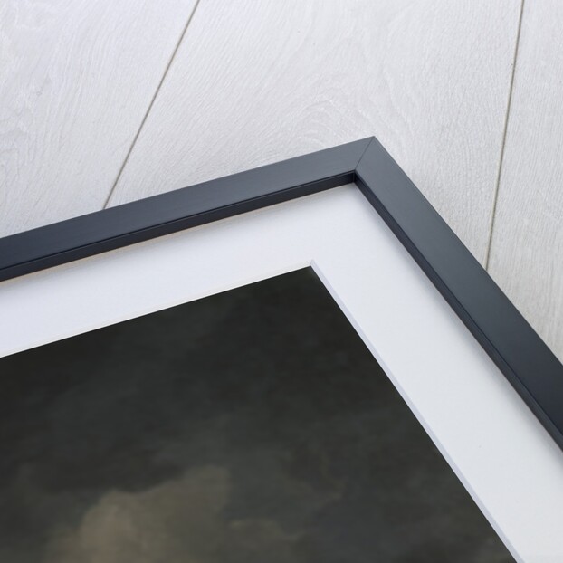 Shipwreck by Hendrik Kobell