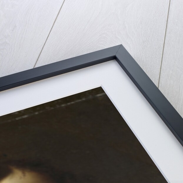 Justice by Anonymous