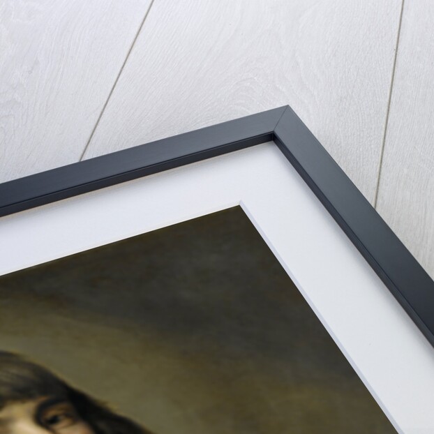 Portrait of Henrick Hooft by Michiel Jansz van Mierevelt