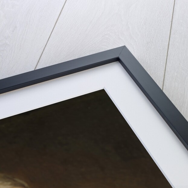 Portrait of Johan van Schoterbosch, Councilor and Alderman of Haarlem by Johannes Cornelisz. Verspronck