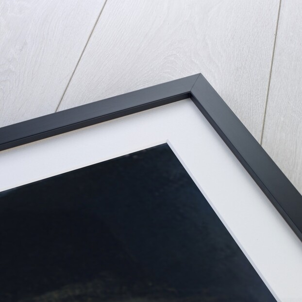 Portrait of Dirck Volkertsz Coornhert, Poet, Philosopher and Engraver by Cornelis Cornelisz. van Haarlem