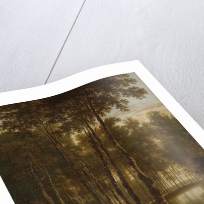 The Avenue of Birches by Jan Hackaert