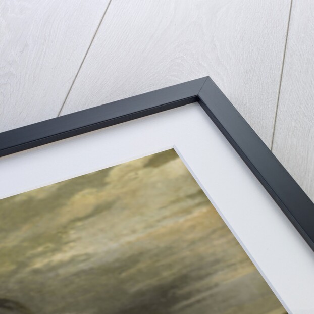 Cock, a Hen and other Poultry by Pieter Jansz. van Ruyven