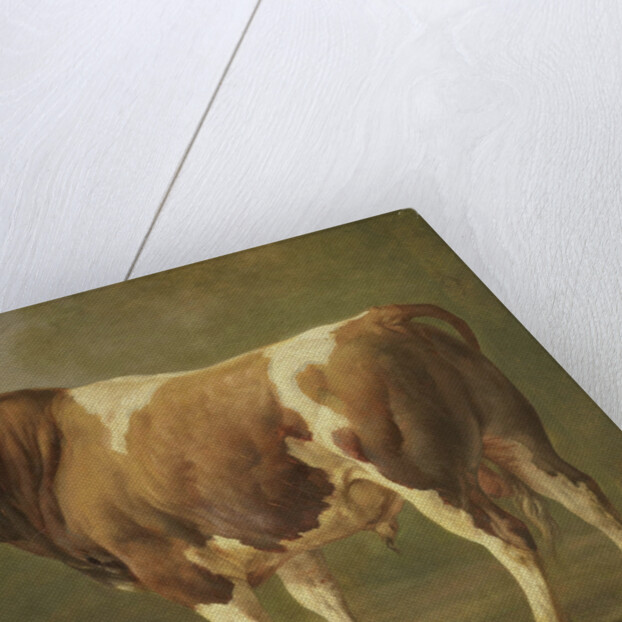 Study of a Bull by Jacques Raymond Brascassat