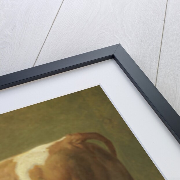 Study of a Bull by Jacques Raymond Brascassat