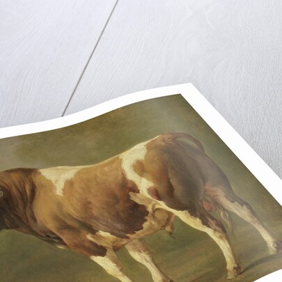 Study of a Bull by Jacques Raymond Brascassat