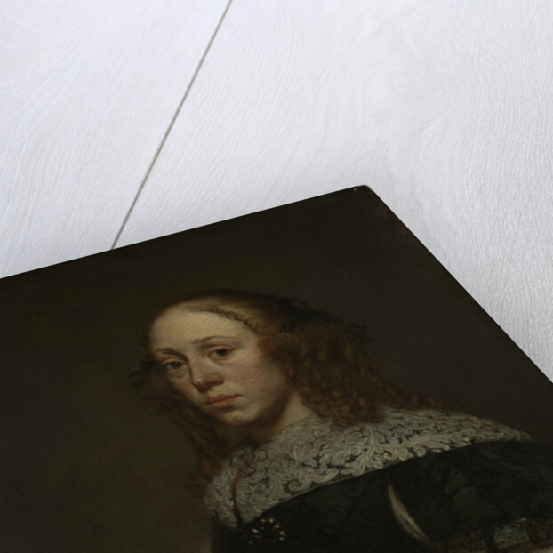 Portrait of a Woman by Pieter van Anraedt