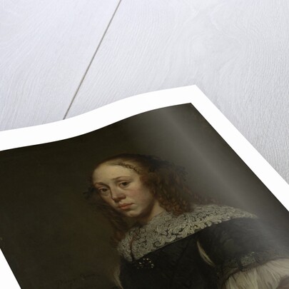 Portrait of a Woman by Pieter van Anraedt