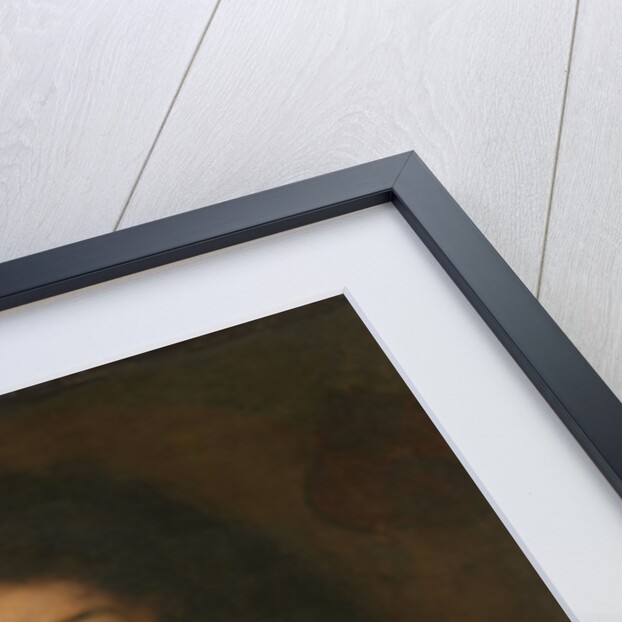 Portrait of Cornelis Tromp, vice-admiral of Holland and West Friesland by David van der Plas