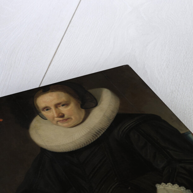 Portrait of Sara Sweerts de Weert, second Wife of Antonius Antonides van der Linden by Hendrik Meerman
