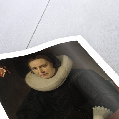 Portrait of Sara Sweerts de Weert, second Wife of Antonius Antonides van der Linden by Hendrik Meerman