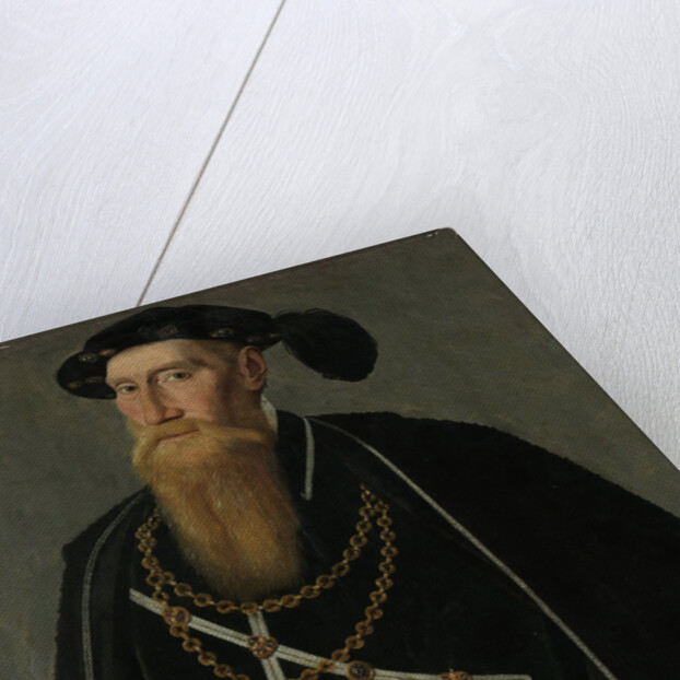 Portrait of Reinoud III of Brederode by Jan van Scorel