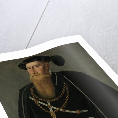 Portrait of Reinoud III of Brederode by Jan van Scorel