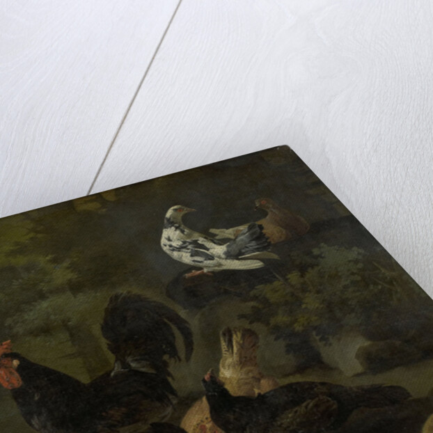 A Cock, Hens, Doves, and a Marmot by Jacomo Victors