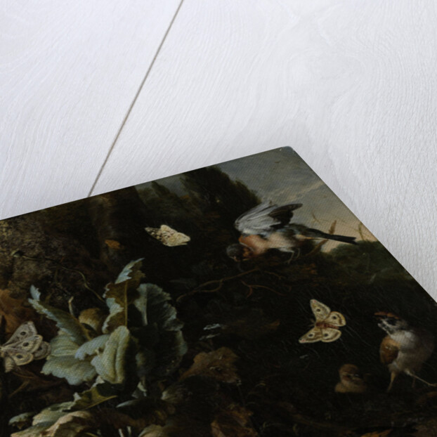 Animals and Plants by Melchior d' Hondecoeter